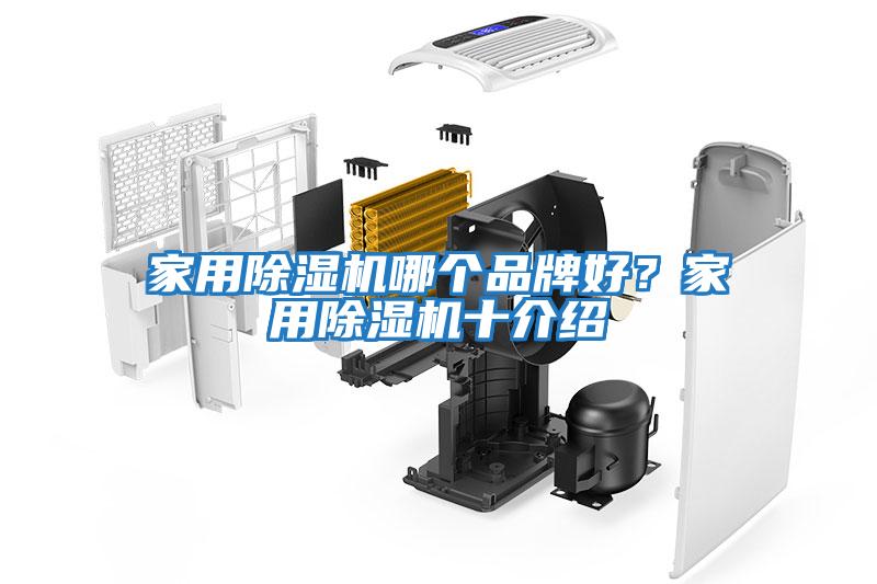 家用除濕機哪個品牌好？家用除濕機十介紹