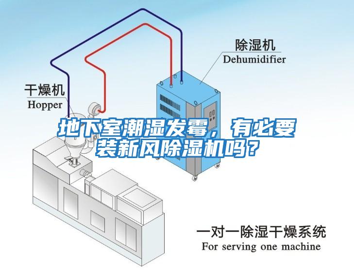 地下室潮濕發(fā)霉，有必要裝新風(fēng)除濕機(jī)嗎？