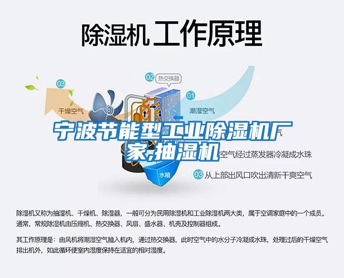 寧波節(jié)能型工業(yè)除濕機廠家,抽濕機