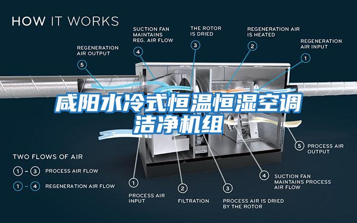 咸陽水冷式恒溫恒濕空調(diào)潔凈機組