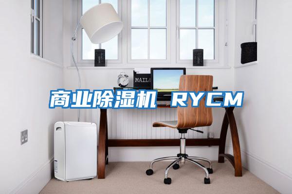 商業(yè)除濕機(jī) RYCM