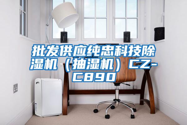 批發(fā)供應(yīng)純忠科技除濕機(jī)（抽濕機(jī)）CZ-C890