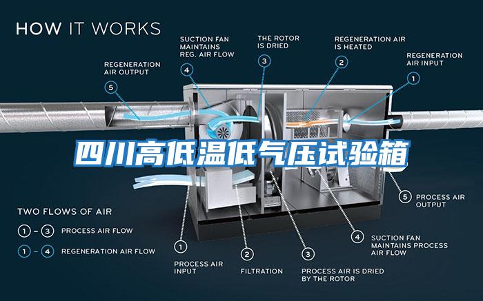四川高低溫低氣壓試驗(yàn)箱