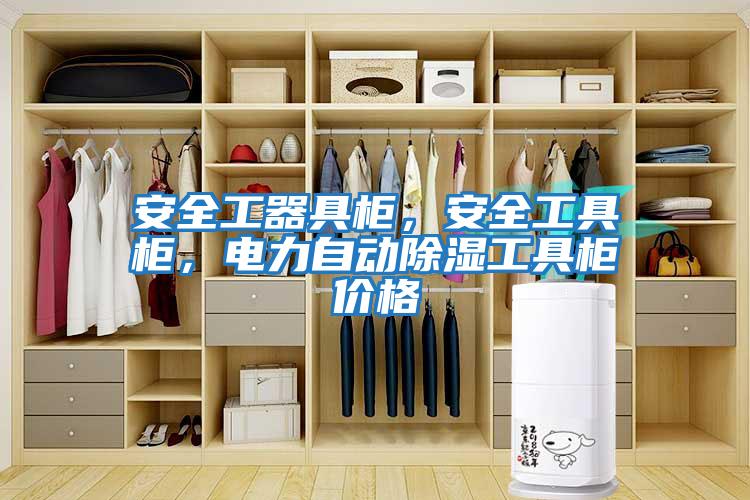 安全工器具柜，安全工具柜，電力自動除濕工具柜價格