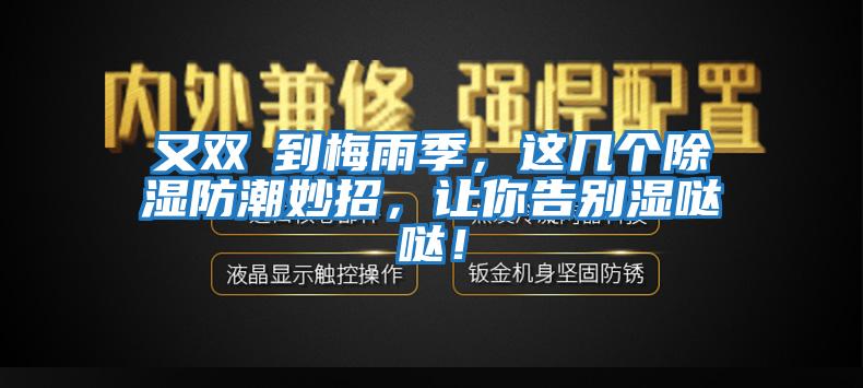 又雙叒到梅雨季，這幾個除濕防潮妙招，讓你告別濕噠噠！