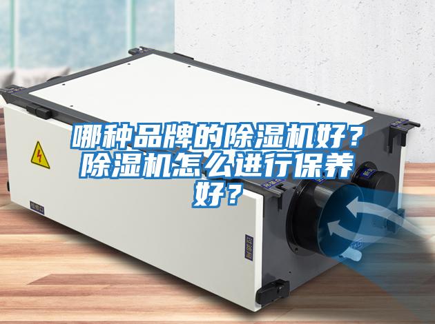 哪種品牌的除濕機好？除濕機怎么進行保養(yǎng)好？