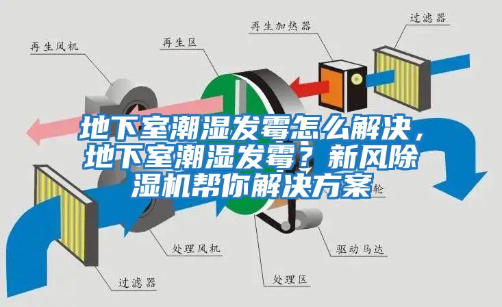 地下室潮濕發(fā)霉怎么解決，地下室潮濕發(fā)霉？新風(fēng)除濕機(jī)幫你解決方案