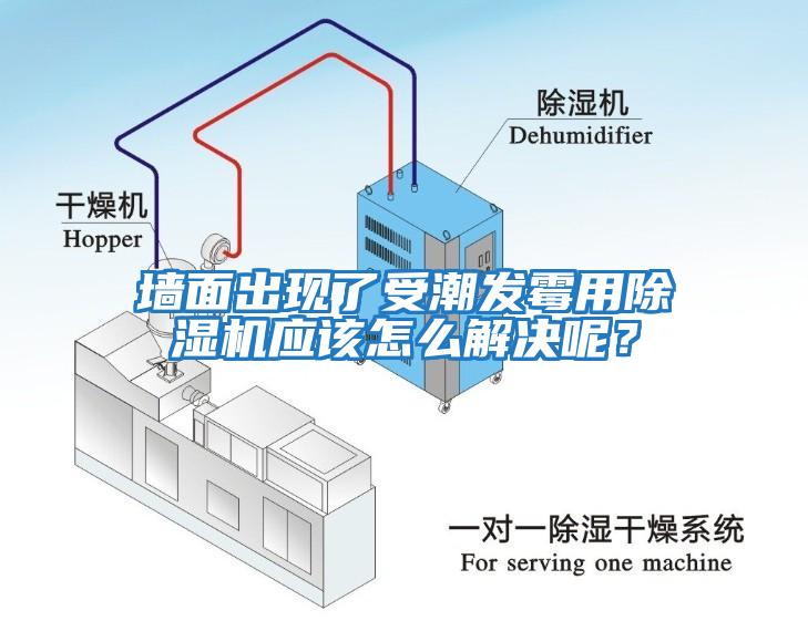 墻面出現(xiàn)了受潮發(fā)霉用除濕機(jī)應(yīng)該怎么解決呢？