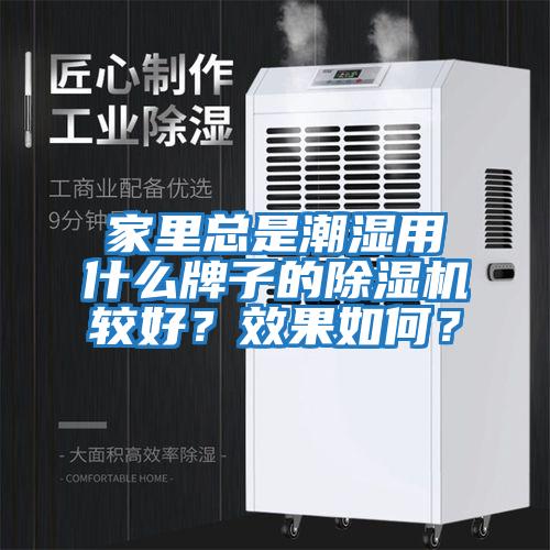 家里總是潮濕用什么牌子的除濕機較好？效果如何？