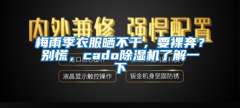 梅雨季衣服曬不干，要裸奔？別慌，cado除濕機(jī)了解一下