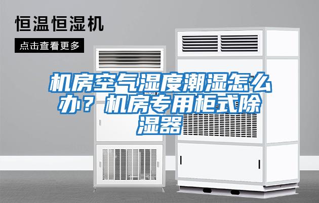 機(jī)房空氣濕度潮濕怎么辦？機(jī)房專用柜式除濕器