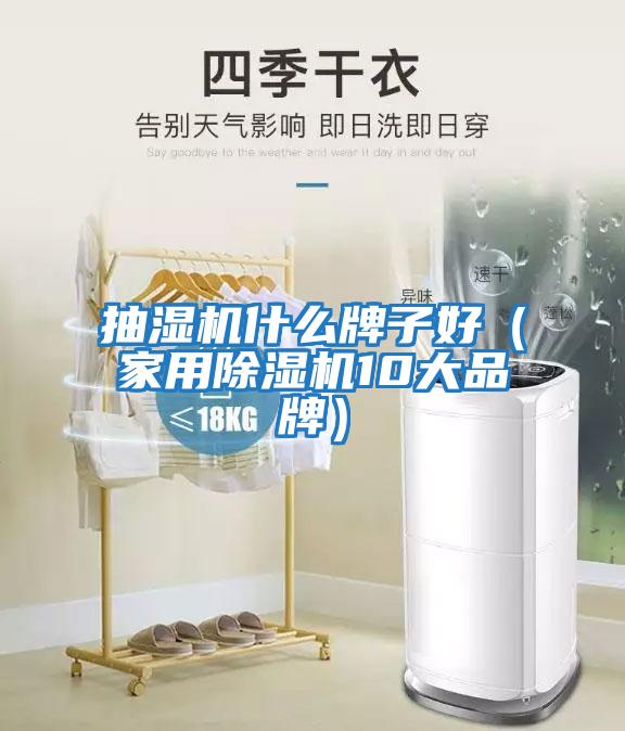 抽濕機(jī)什么牌子好（家用除濕機(jī)10大品牌）