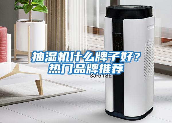 抽濕機(jī)什么牌子好？熱門品牌推薦