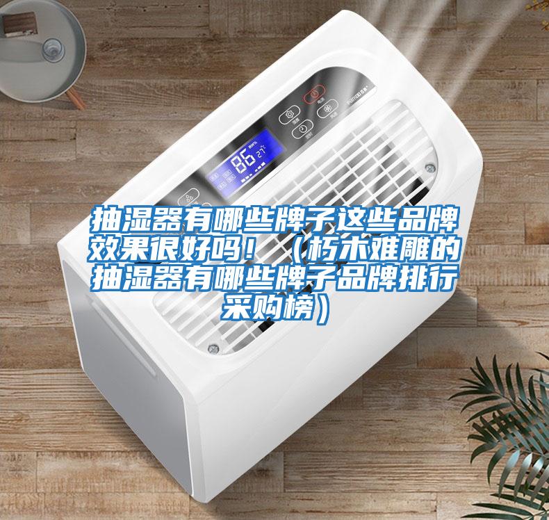 抽濕器有哪些牌子這些品牌效果很好嗎?。ㄐ嗄倦y雕的抽濕器有哪些牌子品牌排行采購榜）