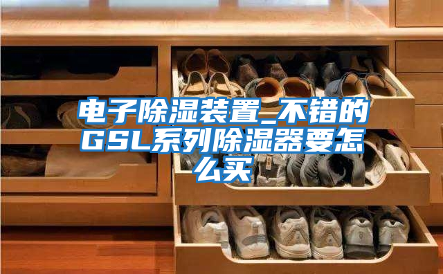 電子除濕裝置_不錯(cuò)的GSL系列除濕器要怎么買