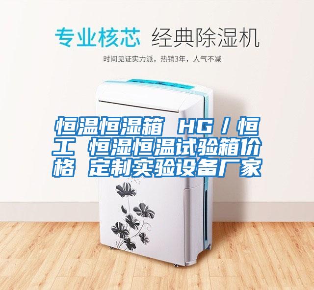 恒溫恒濕箱 HG／恒工 恒濕恒溫試驗箱價格 定制實驗設(shè)備廠家