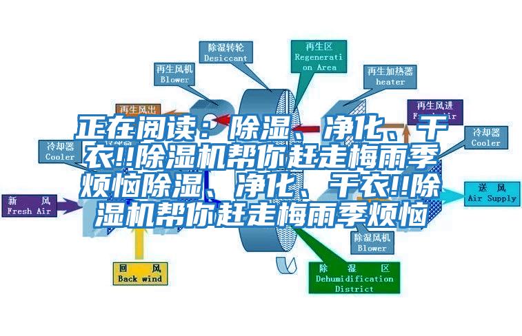 正在閱讀：除濕、凈化、干衣!!除濕機(jī)幫你趕走梅雨季煩惱除濕、凈化、干衣!!除濕機(jī)幫你趕走梅雨季煩惱