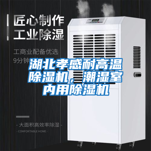 湖北孝感耐高溫除濕機(jī)，潮濕室內(nèi)用除濕機(jī)