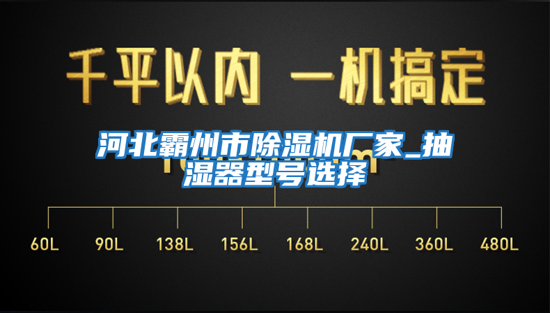 河北霸州市除濕機(jī)廠家_抽濕器型號選擇