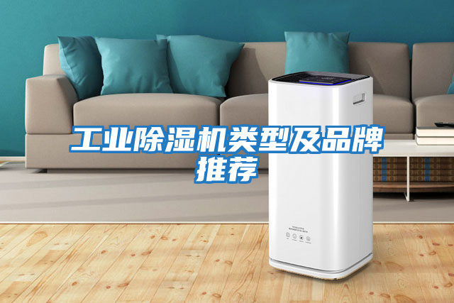 工業(yè)除濕機類型及品牌推薦