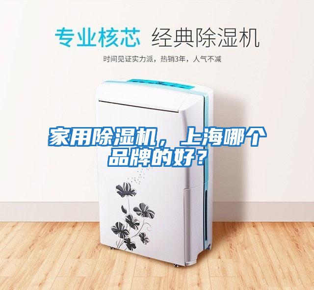 家用除濕機，上海哪個品牌的好？