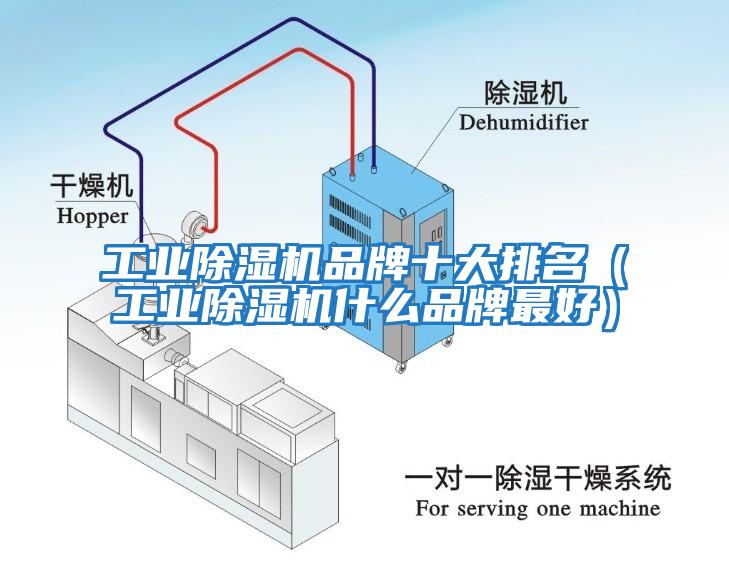 工業(yè)除濕機(jī)品牌十大排名（工業(yè)除濕機(jī)什么品牌最好）