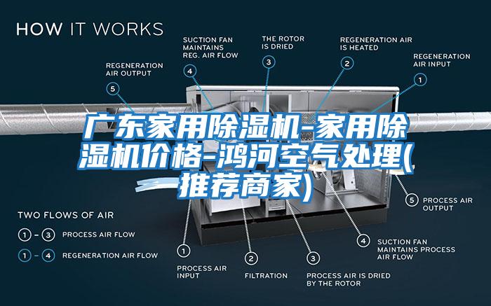 廣東家用除濕機(jī)-家用除濕機(jī)價(jià)格-鴻河空氣處理(推薦商家)