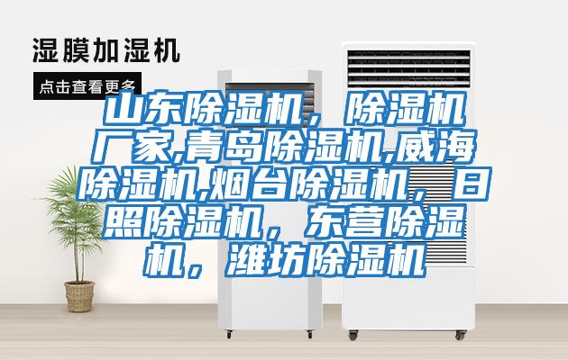 山東除濕機，除濕機廠家,青島除濕機,威海除濕機,煙臺除濕機，日照除濕機，東營除濕機，濰坊除濕機