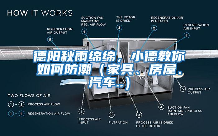 德陽秋雨綿綿，小德教你如何防潮（家具、房屋、汽車..）