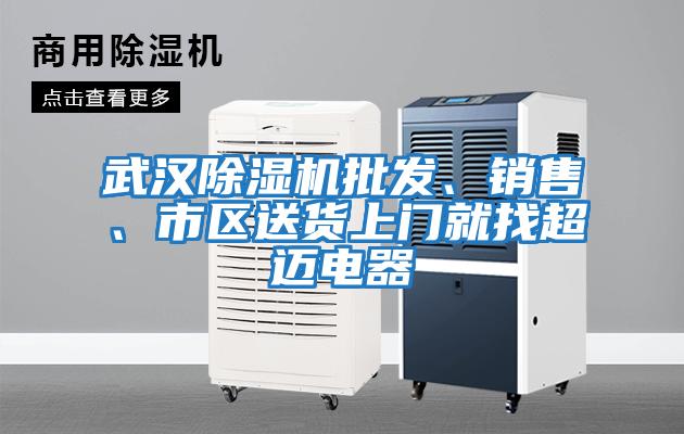 武漢除濕機批發(fā)、銷售、市區(qū)送貨上門就找超邁電器