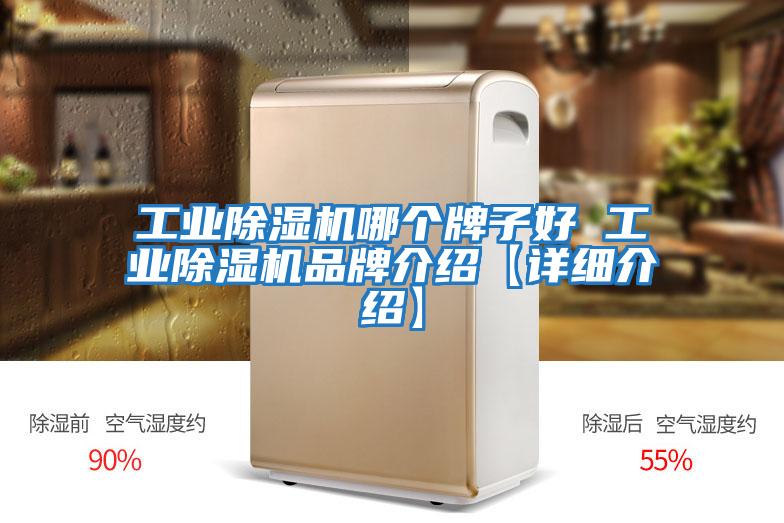 工業(yè)除濕機哪個牌子好 工業(yè)除濕機品牌介紹【詳細介紹】