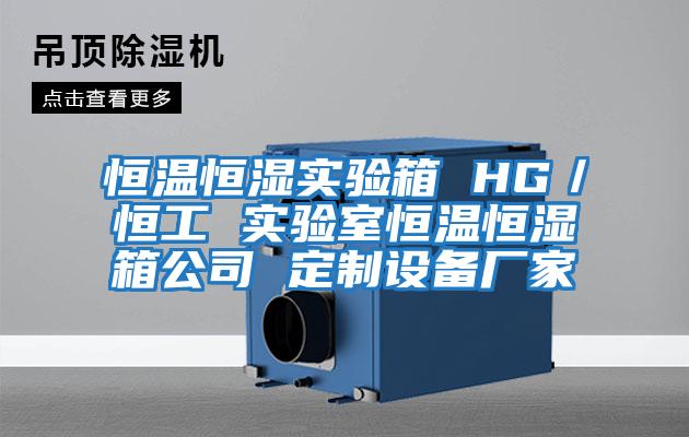 恒溫恒濕實驗箱 HG／恒工 實驗室恒溫恒濕箱公司 定制設(shè)備廠家