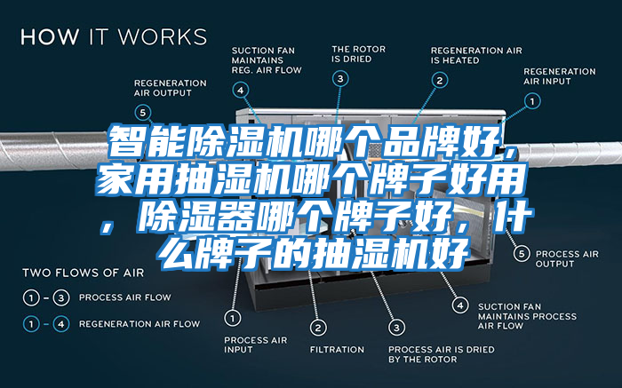 智能除濕機(jī)哪個品牌好，家用抽濕機(jī)哪個牌子好用，除濕器哪個牌子好，什么牌子的抽濕機(jī)好