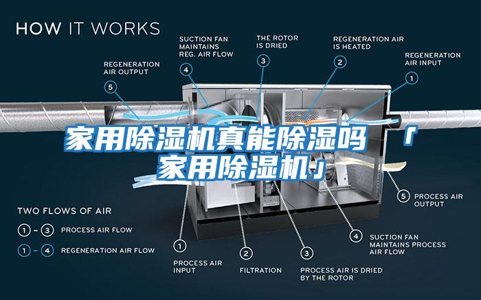 家用除濕機真能除濕嗎 「家用除濕機」