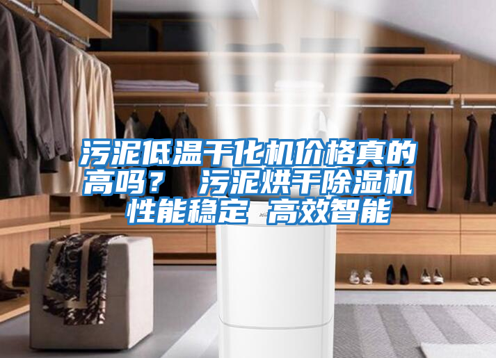 污泥低溫干化機價格真的高嗎？ 污泥烘干除濕機 性能穩(wěn)定 高效智能