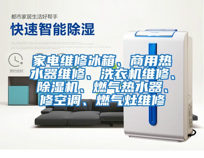 家電維修冰箱、商用熱水器維修、洗衣機(jī)維修、除濕機(jī)、燃?xì)鉄崴?、修空調(diào)、燃?xì)庠罹S修