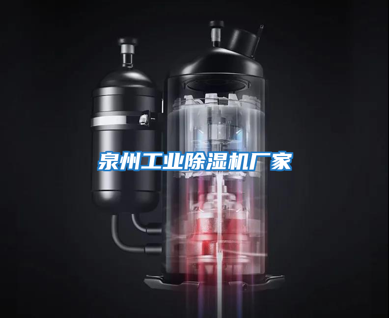 泉州工業(yè)除濕機廠家