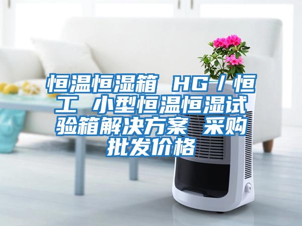 恒溫恒濕箱 HG／恒工 小型恒溫恒濕試驗(yàn)箱解決方案 采購批發(fā)價(jià)格