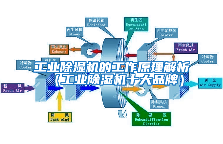 工業(yè)除濕機的工作原理解析（工業(yè)除濕機十大品牌）