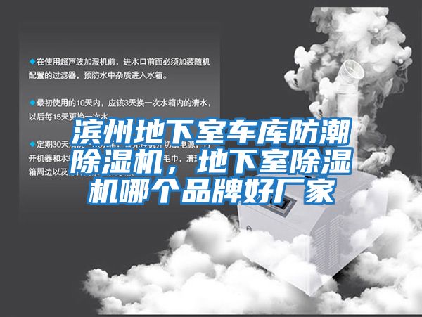 濱州地下室車庫(kù)防潮除濕機(jī)，地下室除濕機(jī)哪個(gè)品牌好廠家