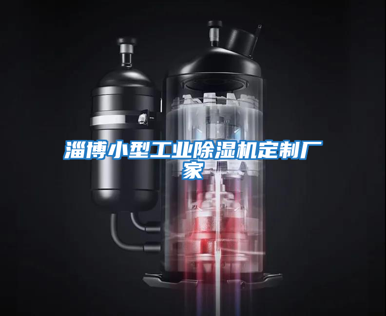 淄博小型工業(yè)除濕機(jī)定制廠家