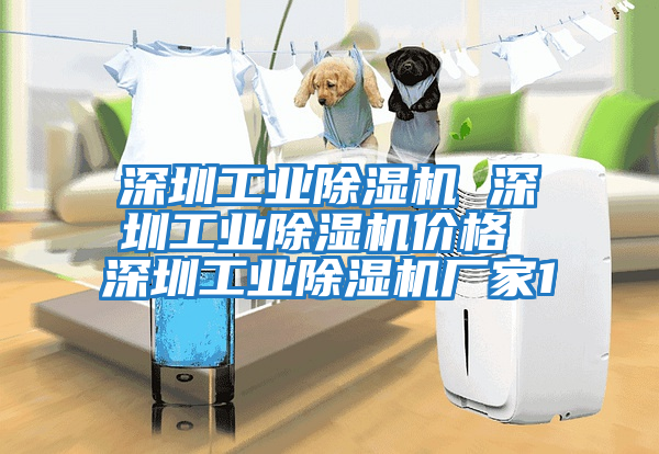 深圳工業(yè)除濕機(jī) 深圳工業(yè)除濕機(jī)價格 深圳工業(yè)除濕機(jī)廠家1