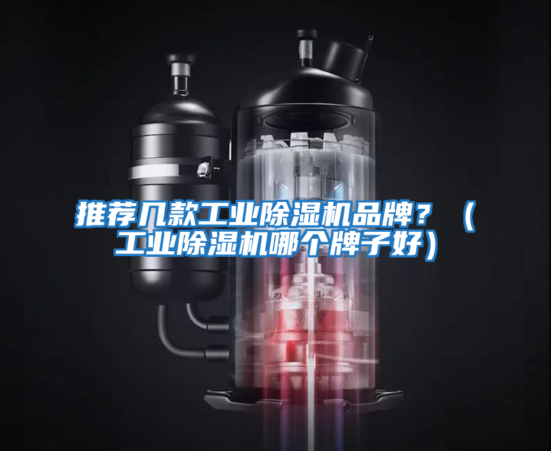 推薦幾款工業(yè)除濕機品牌？（工業(yè)除濕機哪個牌子好）