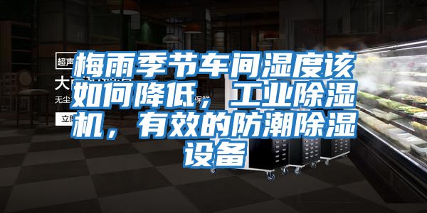 梅雨季節(jié)車間濕度該如何降低，工業(yè)除濕機，有效的防潮除濕設備