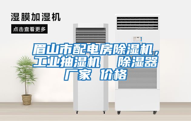 眉山市配電房除濕機(jī)，工業(yè)抽濕機(jī)  除濕器廠家 價(jià)格