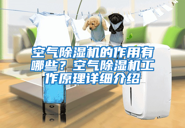 空氣除濕機的作用有哪些？空氣除濕機工作原理詳細介紹