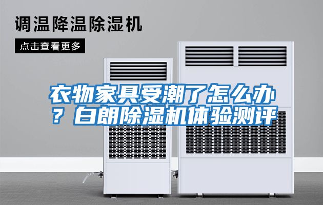 衣物家具受潮了怎么辦？白朗除濕機體驗測評