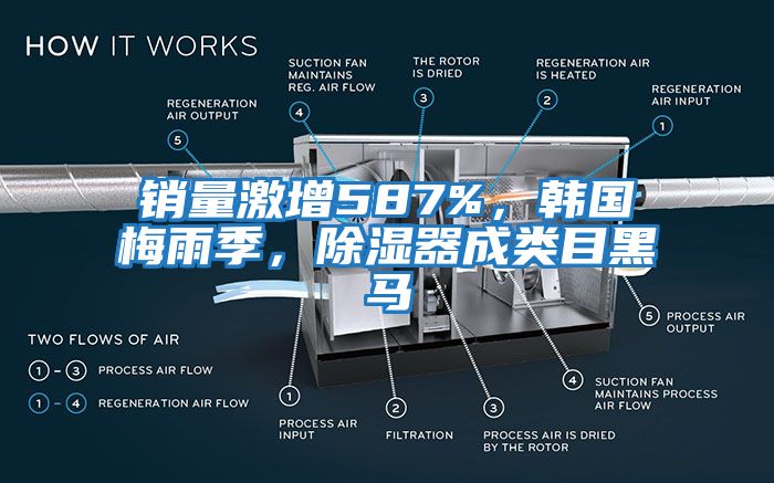 銷量激增587%，韓國梅雨季，除濕器成類目黑馬