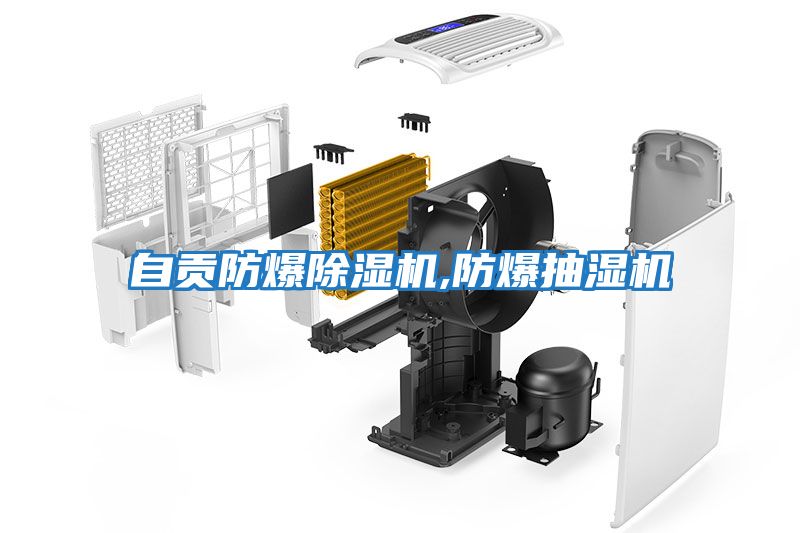 自貢防爆除濕機,防爆抽濕機