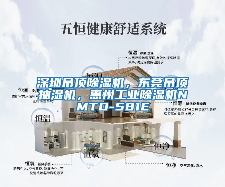 深圳吊頂除濕機，東莞吊頂抽濕機，惠州工業(yè)除濕機NMTD-581E